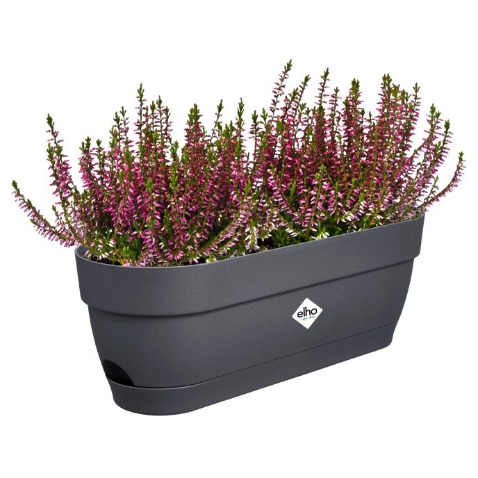 vibia campana balconnière 50cm anthracite